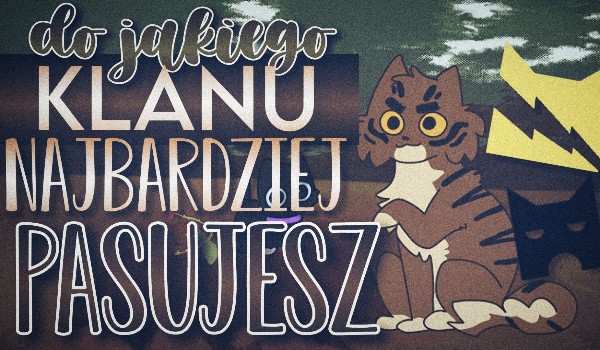 Do jakiego Klanu najbardziej pasujesz?