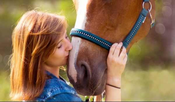 W ilu % kochasz konie?