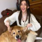 mlp36493729393640759538584948