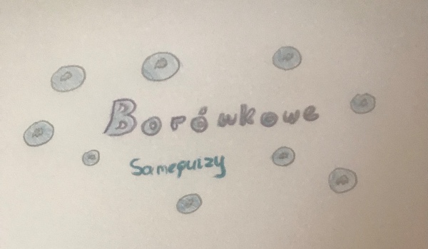 Borówkowe samequizy • Typy obserwatorów na SQ