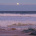 Summer_moon