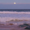 Summer_moon