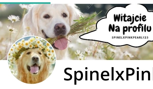 Pogrzeb @SpinelxPinkpearl123