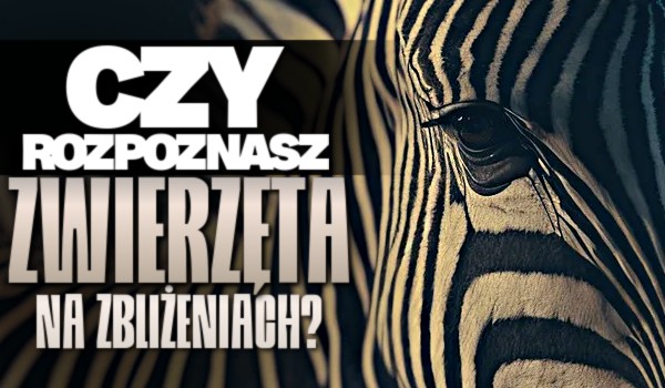Czy rozpoznasz zwierzęta na zbliżeniach?