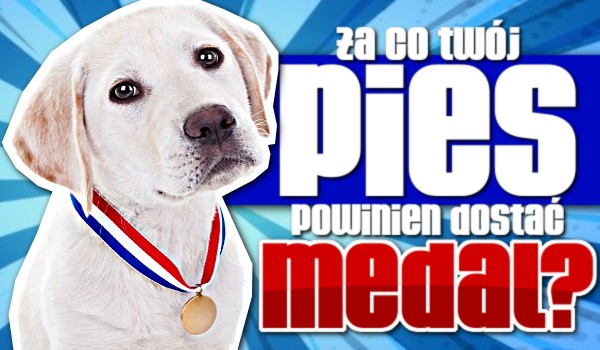 Za co Twój pies powinien dostać medal?
