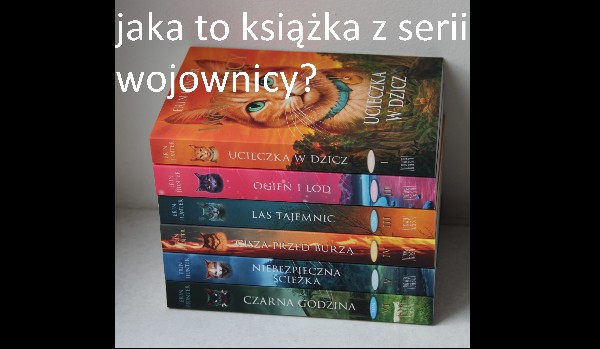 jaka to książka z serii wojownicy?