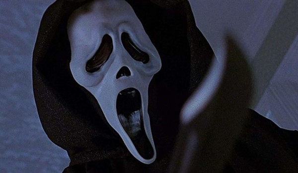 jak dobrze znasz bula