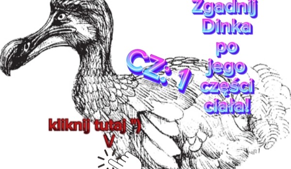 Zgadnij Dinka Po Jego Części Ciała!