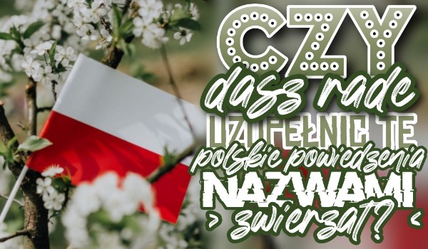Czy dasz rade uzupełnić te polskie powiedzenia nazwami zwierząt?