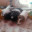 Majcia_Tosia