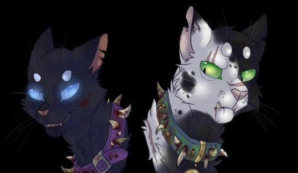 Oceniam shipy z serii Wojownicy! Bicz × Gnat!