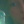 Larcik_Fed