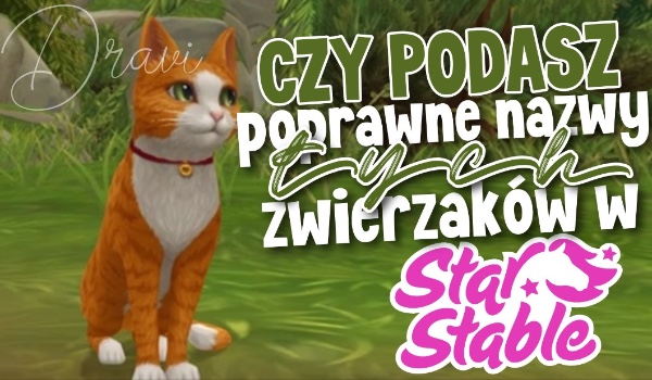 Czy podasz poprawnie nazwy tych zwierzaków w Star Stable Online?