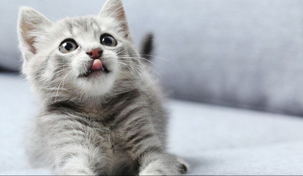 Ocenianie profili cz.26