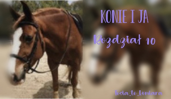 Konie i ja – Rozdział 10