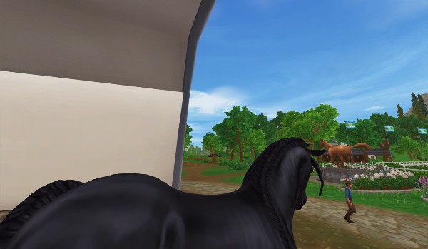 Poradnik SSO: imiona dla koni