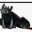 CATNAP1223334444