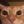 mmmajusia