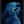 Tima