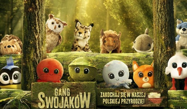 Czy możesz dołączyć do gangu słodziaków?