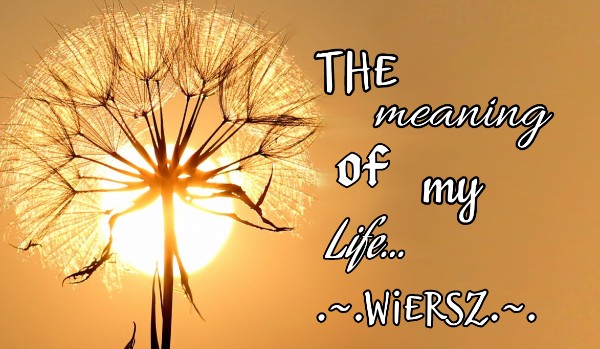 The meaning of my life… •●•Wiersz•●•