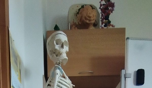 Test osobowości