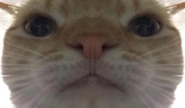 UWAGA DŻUMA W SZKOLE!!!