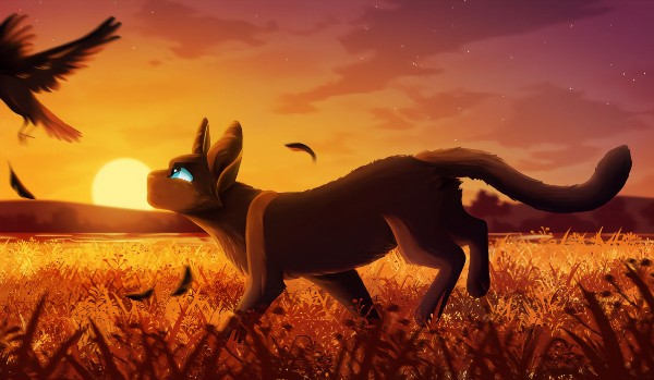 Misja brzozowego cienia