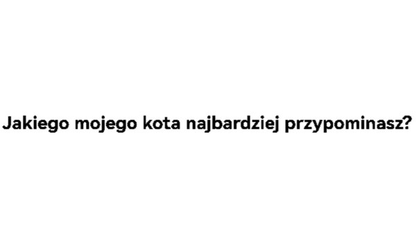 Którego mojego kota najbardziej przypominasz?
