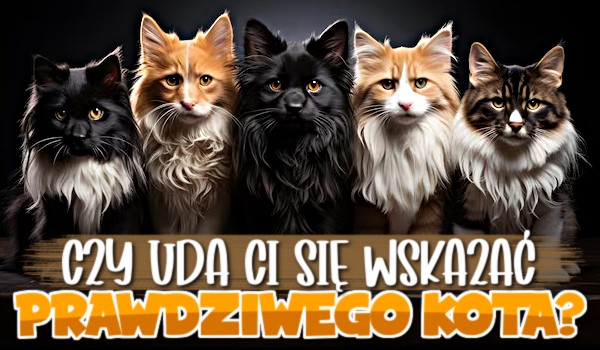 Czy uda Ci się wskazać prawdziwego kota?