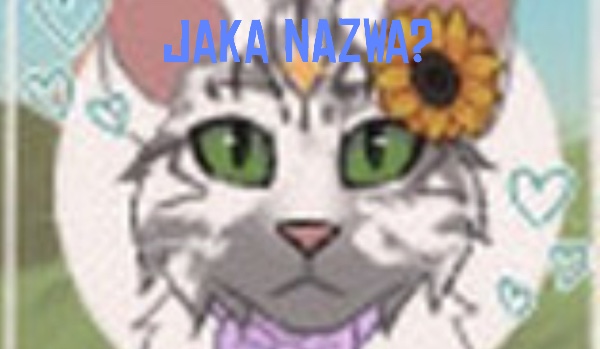 Jaka nazwa? 2