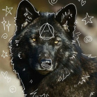 Paws_in_sky