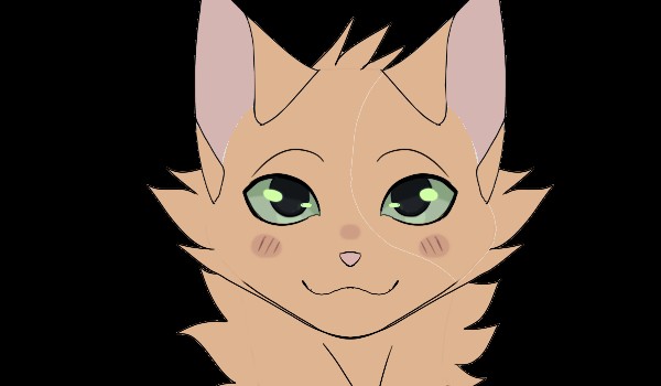 Nowy Świt rozdział 3