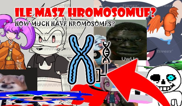 Ile masz chromosomów?