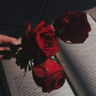 Princesses.of.Darkness