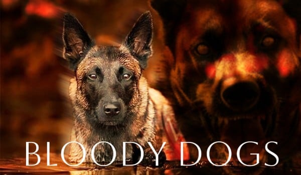 Bloody dogs • prolog