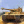 tiger1better