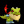 Satro