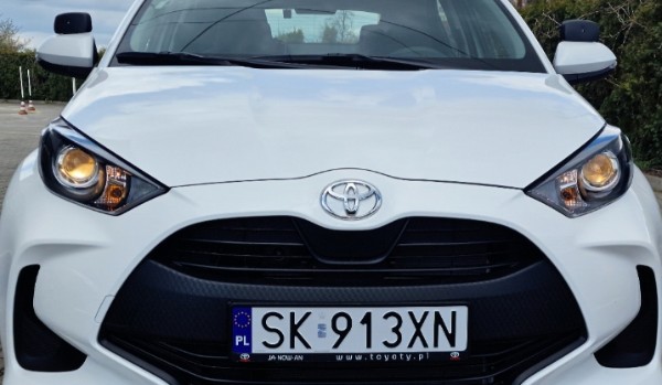 Kontrolki