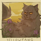 AmberWest