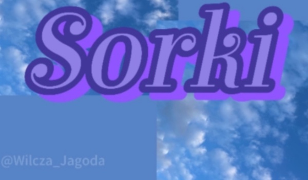 Sorki