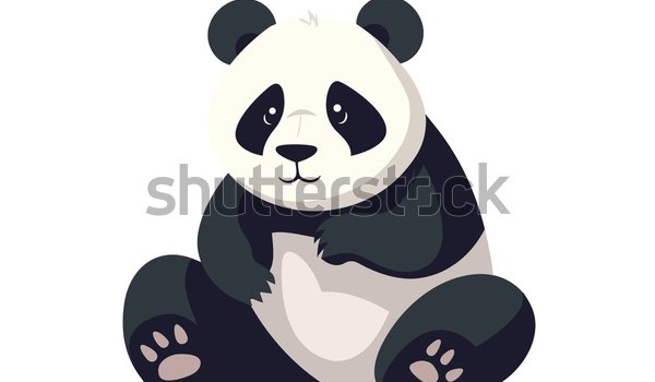 Panda wybierz pande