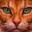 LaurX_16