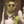 JogurtNaturalny2137