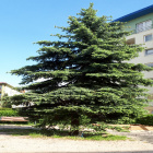 Poznaniak2000