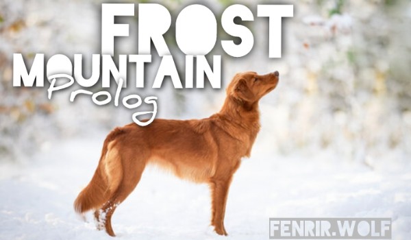 Frost Mountain • prolog