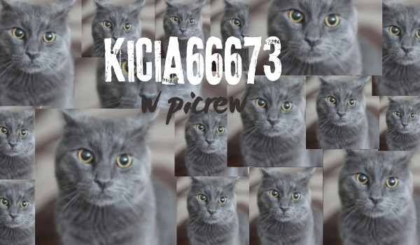 Jak wyobrażam sobie @Kicia66673 w Picrew