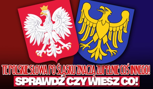Te polskie słowa po śląsku znaczą zupełnie coś innego! – Sprawdź, czy wiesz co!
