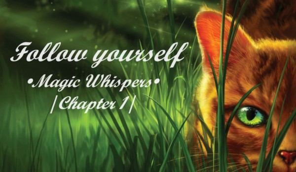 Follow yourself •Magic whispers• |Chapter 1|