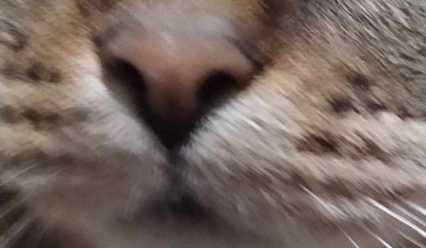 Czas na 1 zgłoszenie